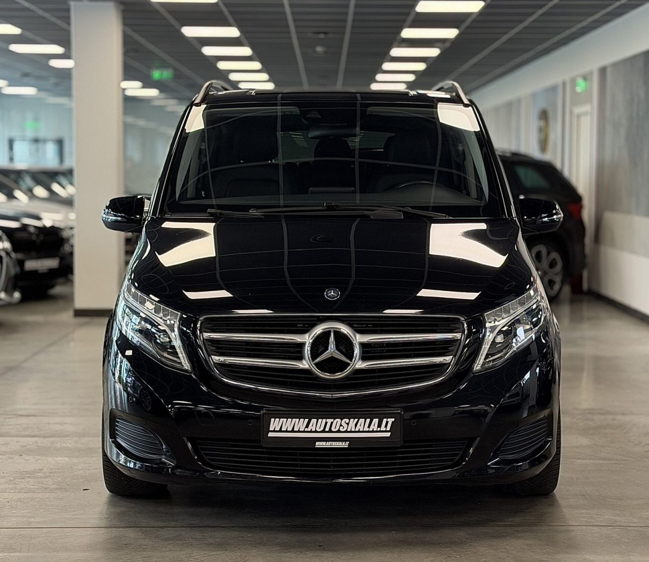 Mercedes-Benz V250 | 3