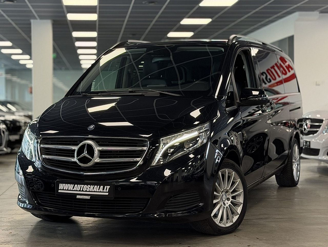 Mercedes-Benz V250 | 2