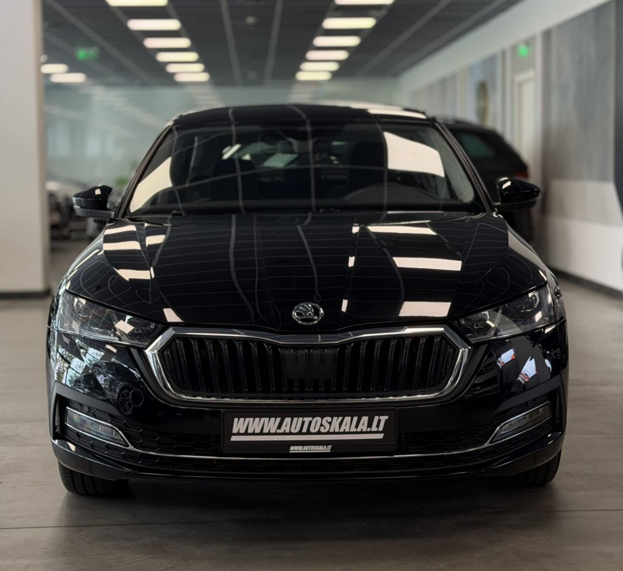 Skoda Octavia | 1