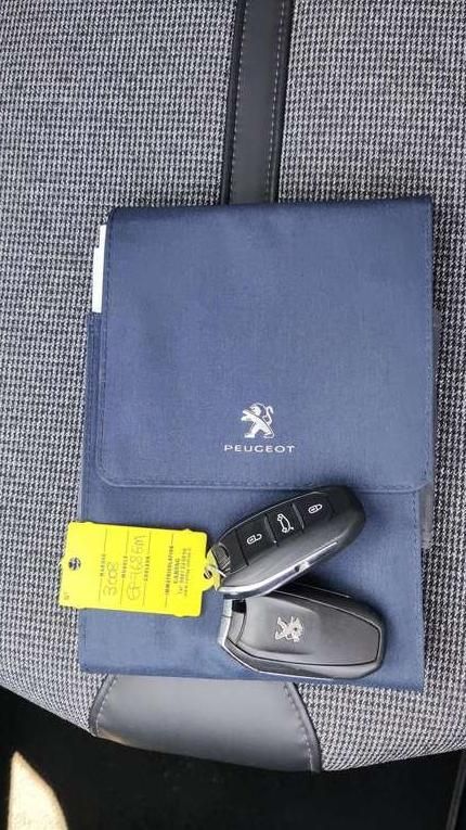 Peugeot 3008 | 17