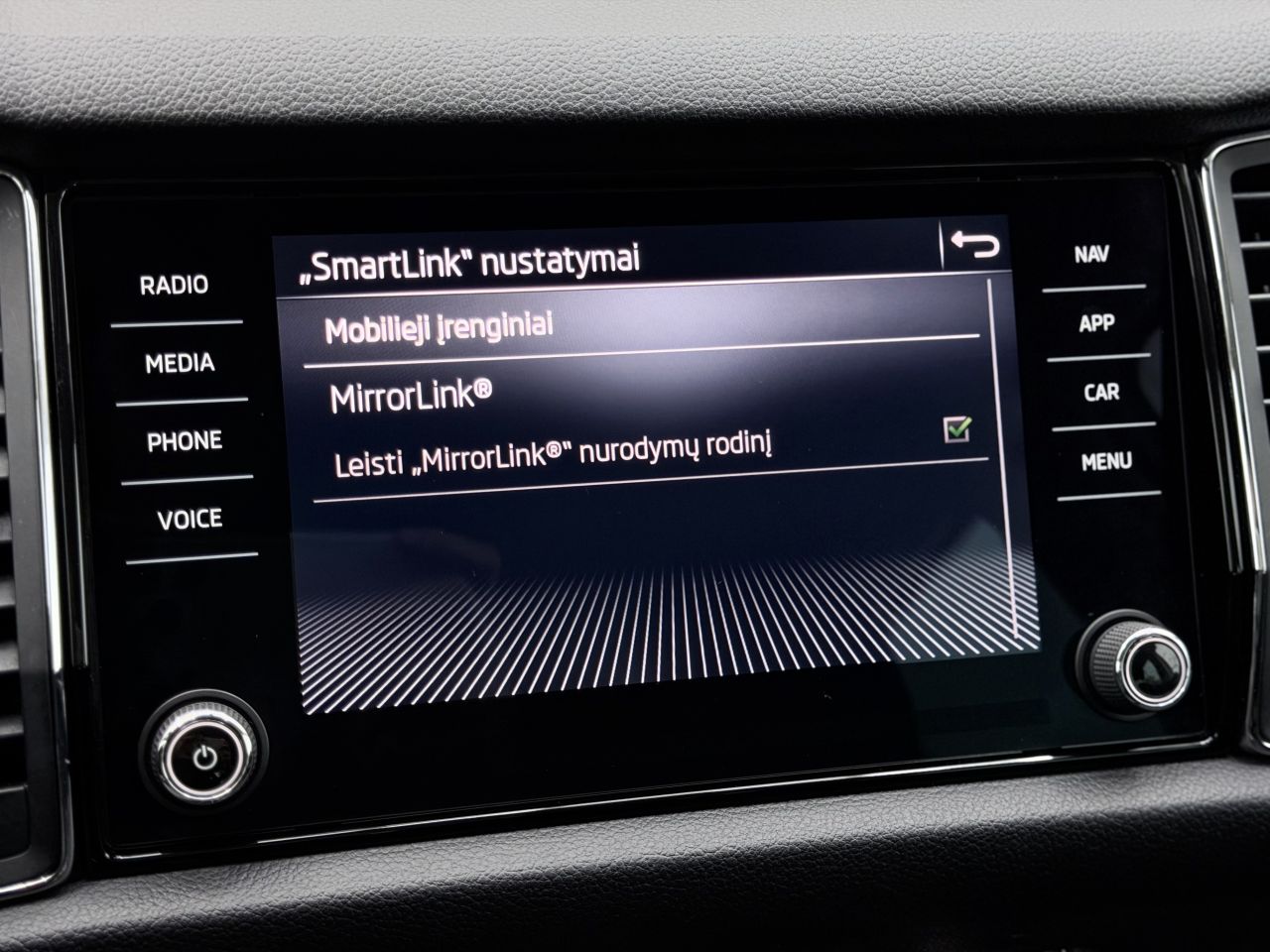 Skoda Kodiaq | 24