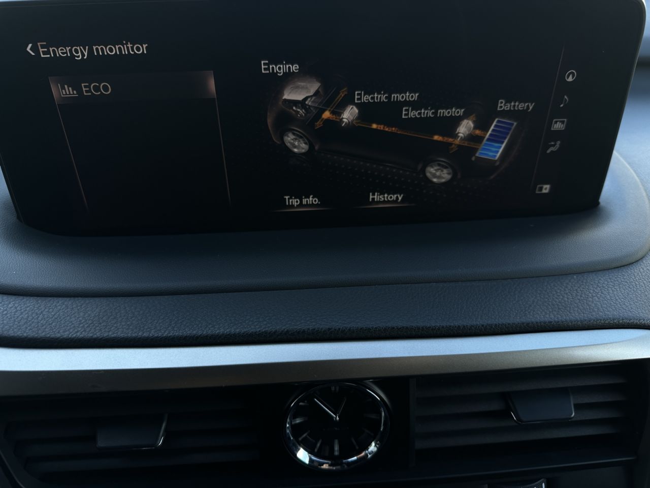 Lexus RX 450h | 19