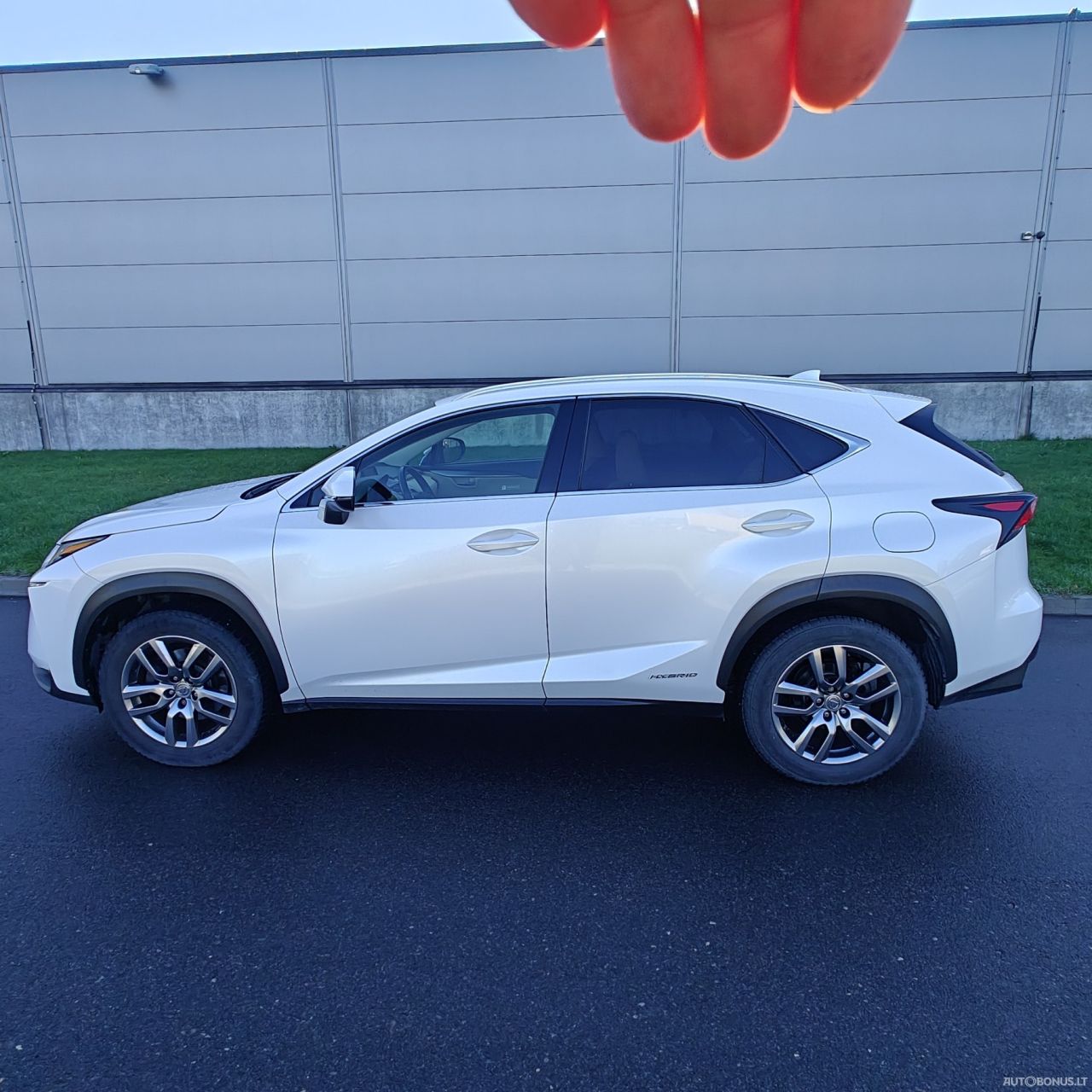 Lexus NX 300h | 6