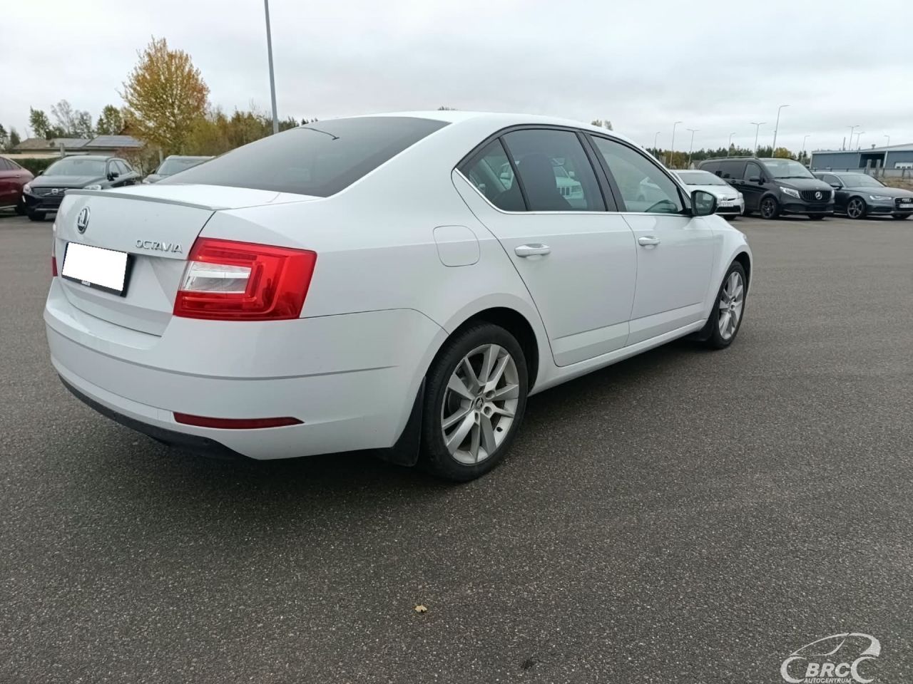 Skoda Octavia | 4