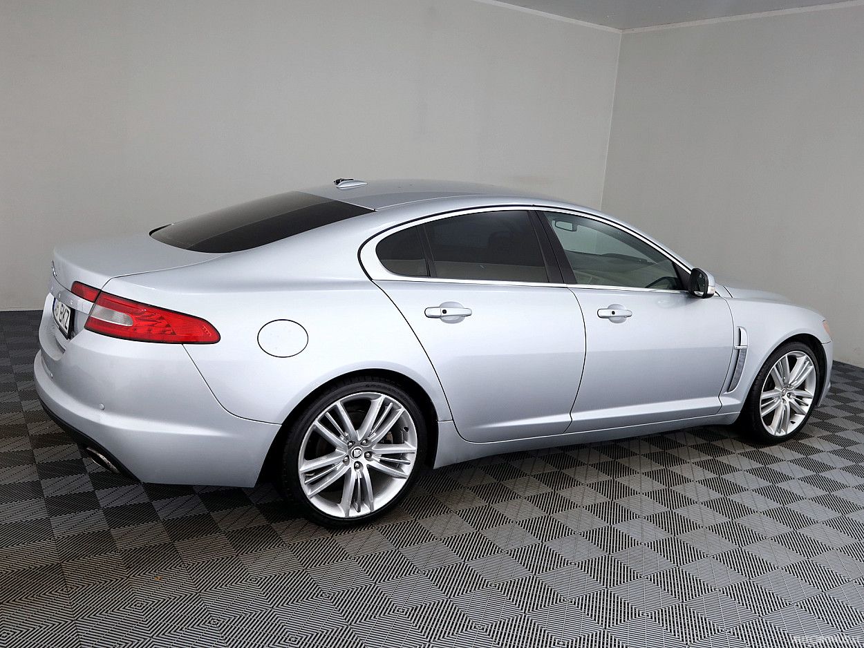 Jaguar | 2