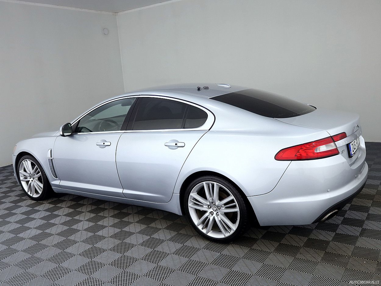 Jaguar | 3