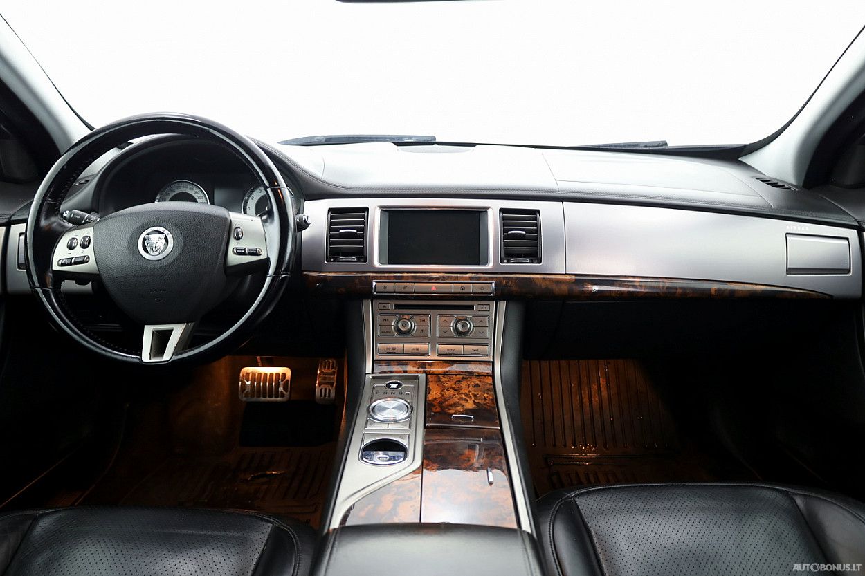 Jaguar | 4