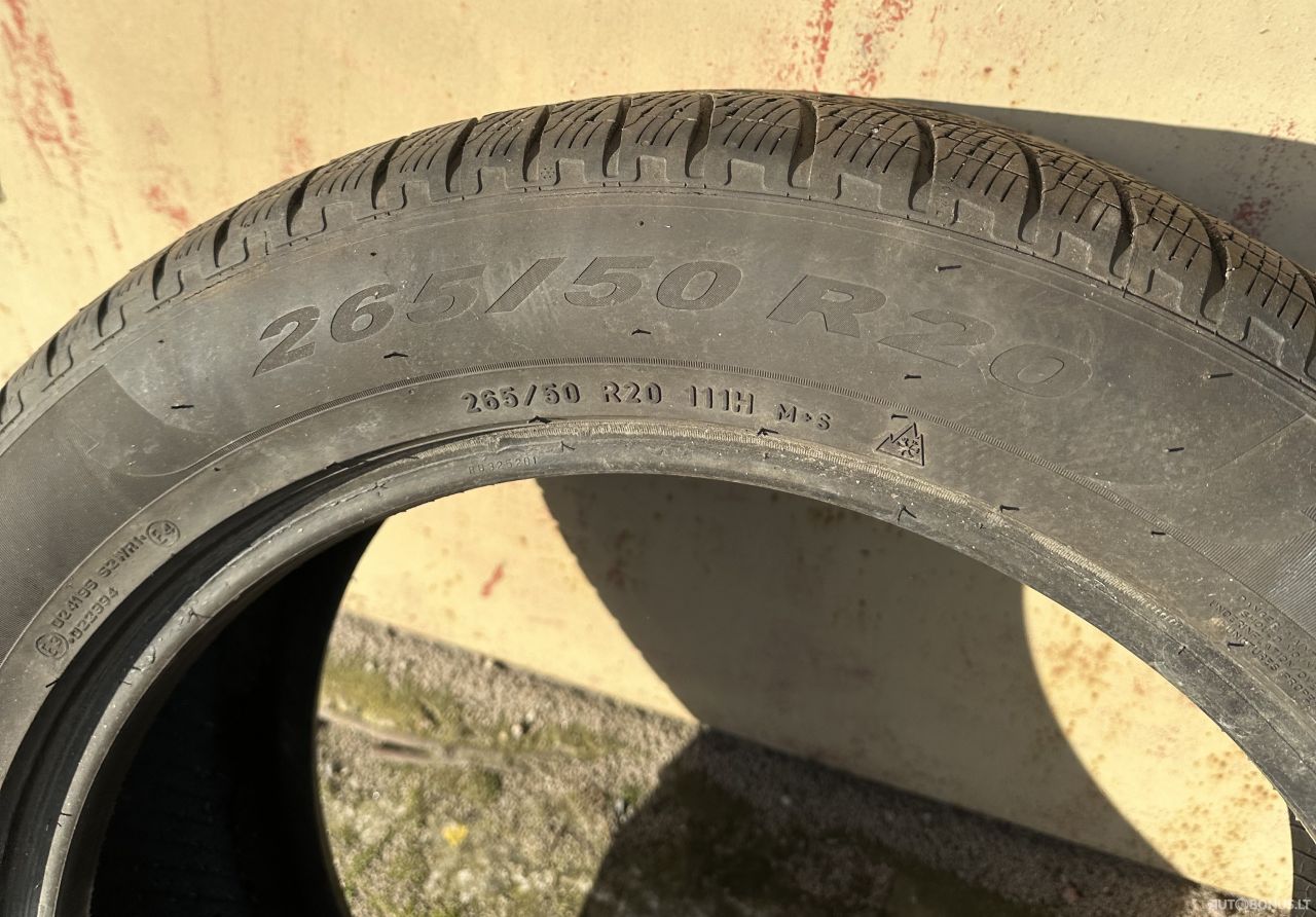 Pirelli Scorpion Winter žieminės padangos | 2