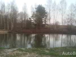 MAN, Ekskavatorius krautuvas, 2015-01-01 | 6
