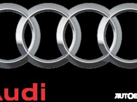  Skubus-Brangus automobilių supirkimas +37067505535 | 2