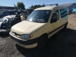 Peugeot, Komercinis | 3