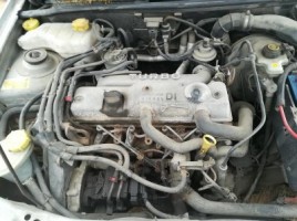 Ford, Hečbekas | 1