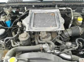 Nissan, Komercinis | 1