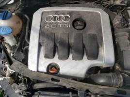 Audi, Hečbekas | 1