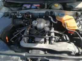 Audi, Universalas | 1