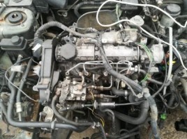 Volvo, Универсал | 1