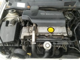 Opel, Universalas | 1