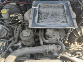 Nissan, Visureigis | 1