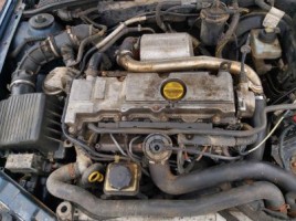 Opel, Universalas | 1