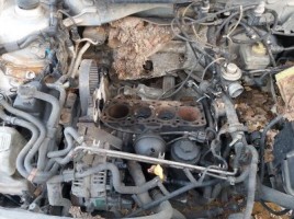 Volkswagen, Universalas | 1