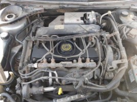 Ford, Universalas | 1