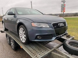 Audi, Universalas | 3