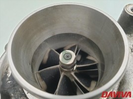 Audi, Visureigis | 2