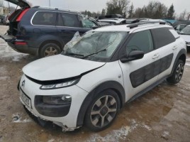Citroen, Hečbekas | 3