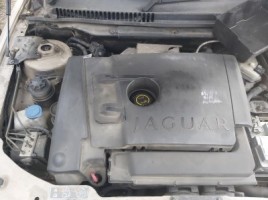 Jaguar, Sedanas | 1