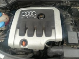Audi, Hečbekas | 1