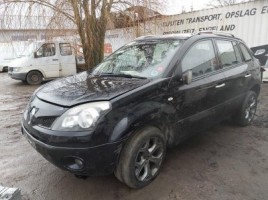 Renault, Cross-country | 3