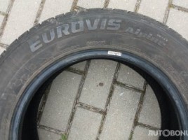 Roadstone Eurovis Alpine WH1 žieminės padangos | 4