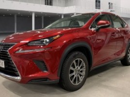 Lexus NX 300h, 2.5 l., visureigis | 0