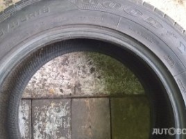 Goodyear Eagle F1 vasarinės padangos | 3