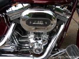 Harley-Davidson FLSTS, Cruiser/Touring | 3
