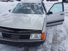 Audi universalas