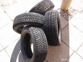 Agi ALPIN MASTER 4 TECHNIC winter tyres