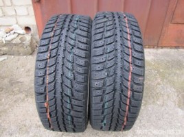 Agi ECOOPONY GALAXIE MS2 universal tyres | 2