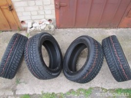 Agi ECOOPONY GALAXIE MS2 universal tyres | 4