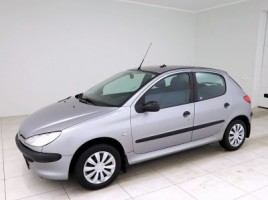 Peugeot 206 | 1