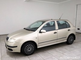 Skoda Fabia | 1