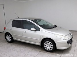 Peugeot 307 hečbekas