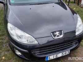 Peugeot 407 | 2