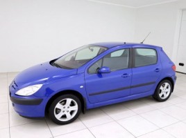 Peugeot 307, 1.6 l., hatchback | 1