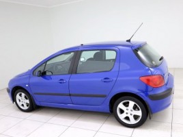 Peugeot 307, 1.6 l., hatchback | 3