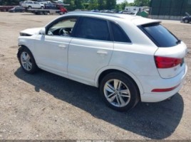 Audi Q3, cross-country | 2