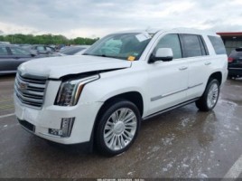 Cadillac Escalade, visureigis | 1
