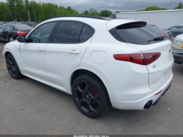 Alfa Romeo Stelvio | 2