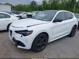 Alfa Romeo Stelvio | 1