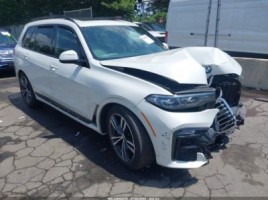 BMW X7 visureigis